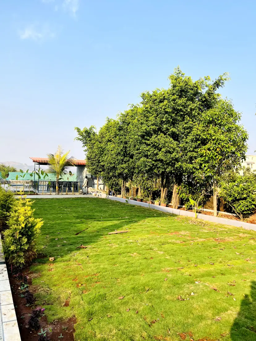 Service ExportedImage